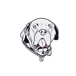 Meet your Posher, Ugly Dog!